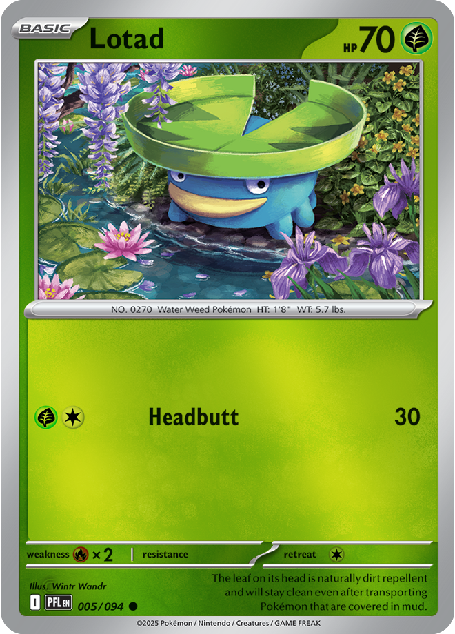 Lotad
