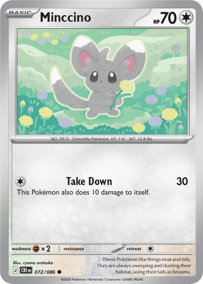 Minccino