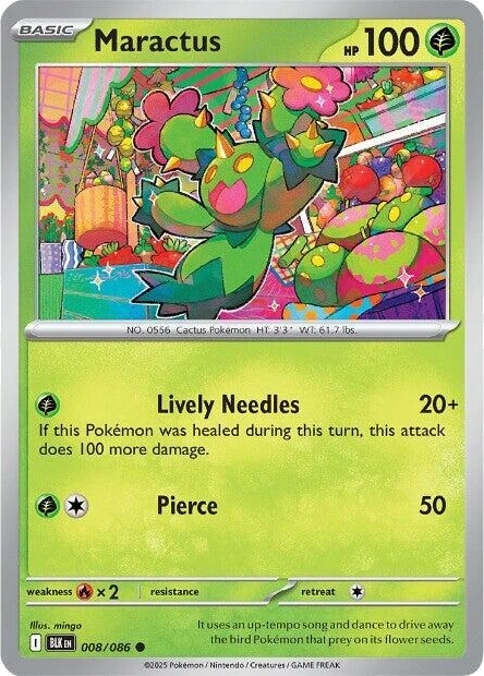 Maractus