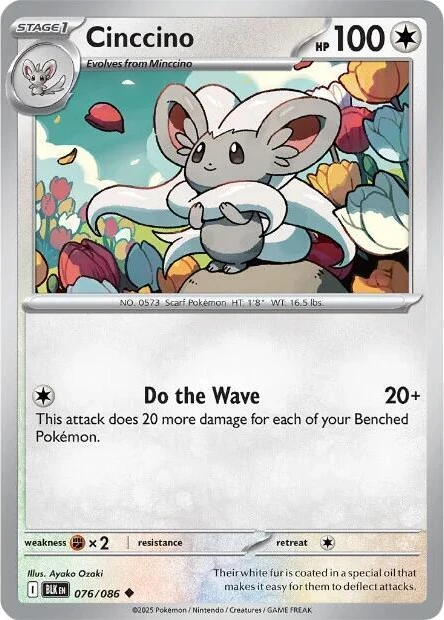 Cinccino