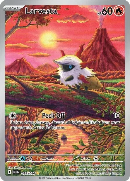 Larvesta
