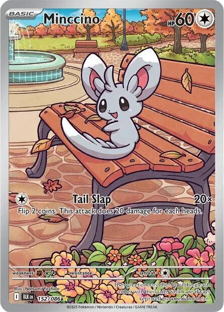 Minccino
