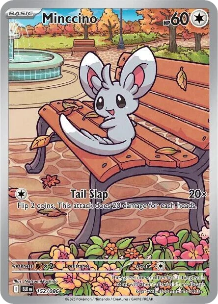 Minccino