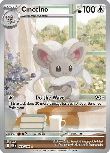 Cinccino