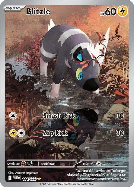 Blitzle