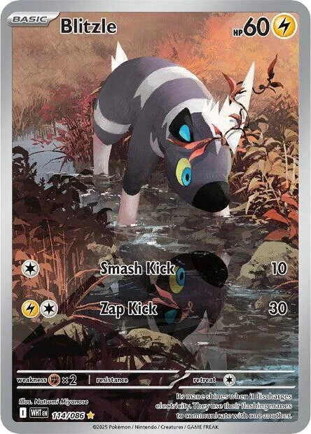 Blitzle