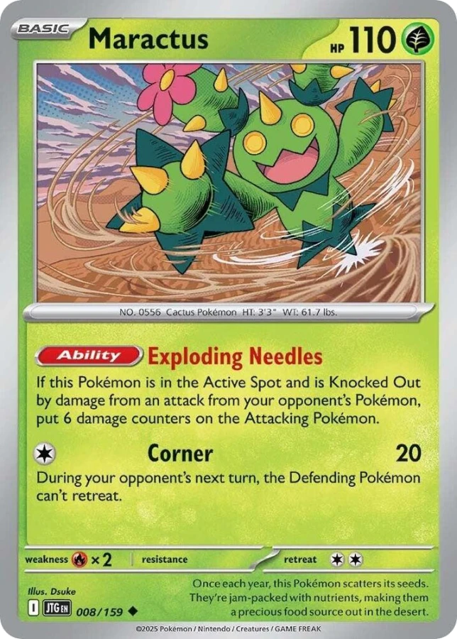 Maractus
