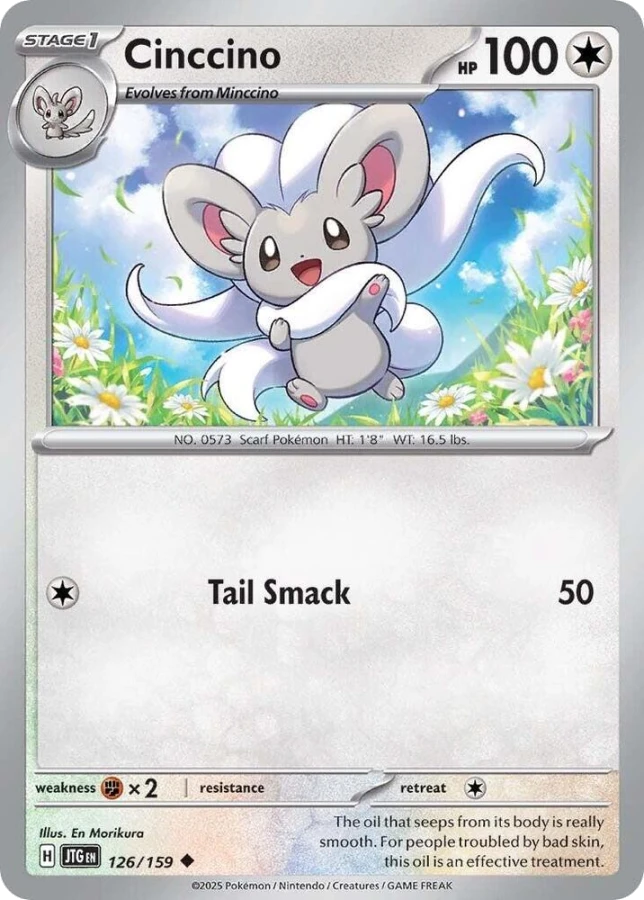 Cinccino
