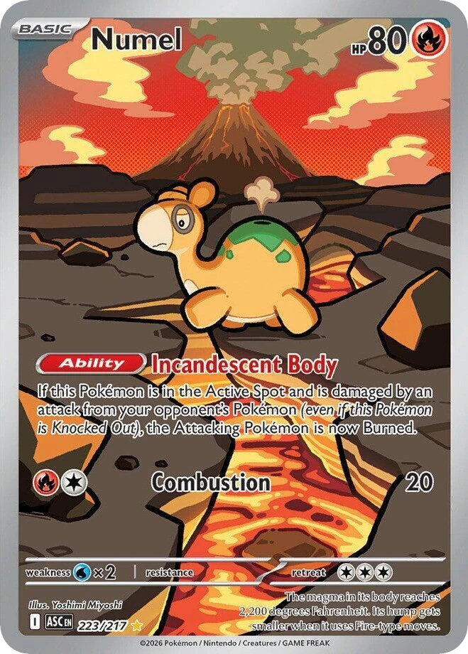 Numel